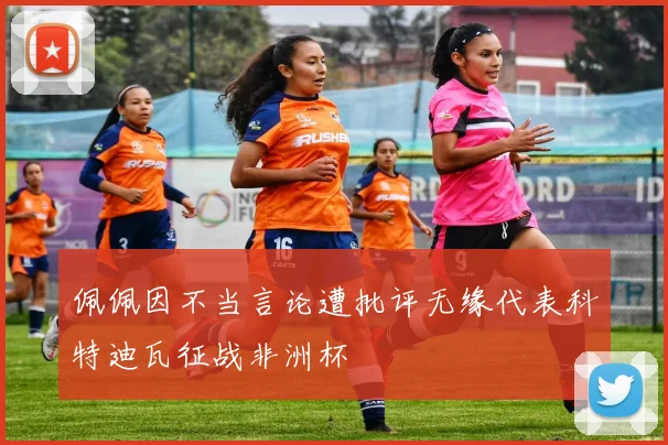 佩佩因不当言论遭批评无缘代表科特迪瓦征战非洲杯